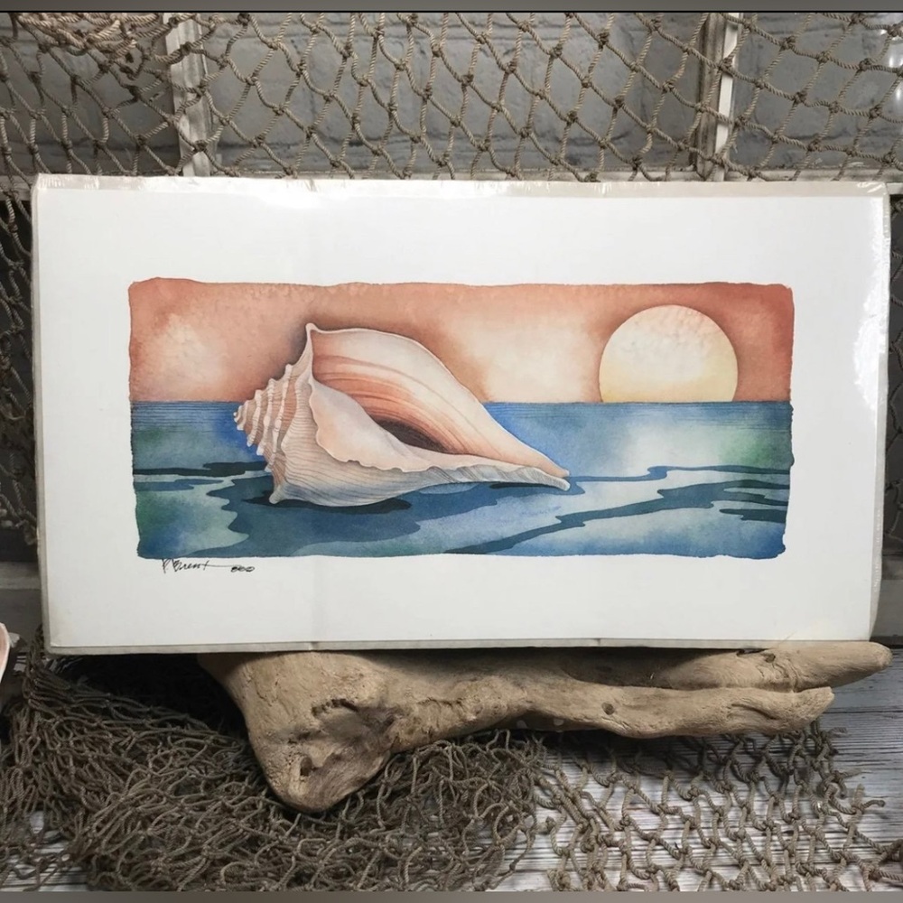 VINTAGE Paul Brent 1988 FL Whelk Seashell Watercolor Painting Numbered Print
